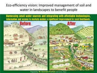 Soil Fertility Management and eco-efficiency of small holder agricultural systems