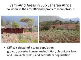 Soil Fertility Management and eco-efficiency of small holder agricultural systems