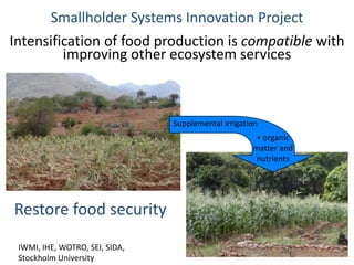 Soil Fertility Management and eco-efficiency of small holder agricultural systems