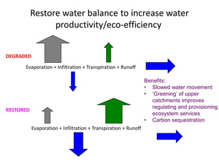 Soil Fertility Management and eco-efficiency of small holder agricultural systems