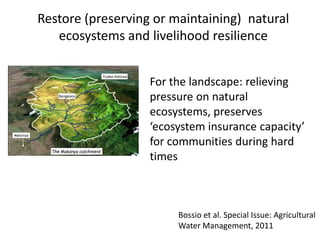 Soil Fertility Management and eco-efficiency of small holder agricultural systems