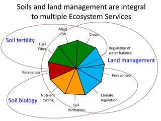 Soil Fertility Management and eco-efficiency of small holder agricultural systems
