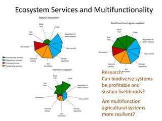 Soil Fertility Management and eco-efficiency of small holder agricultural systems