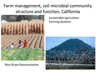 Soil Fertility Management and eco-efficiency of small holder agricultural systems