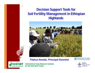 Decision Support Tools for
Soil Fertility Management in Ethiopian
Highlands
Tilahun Amede, Principal Scientist
 