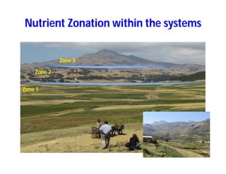 Soil fertility management in ethiopia :Decision Support Tools for Soil Fertility Management in Ethiopian Highlands: Dr Tilahun Amede