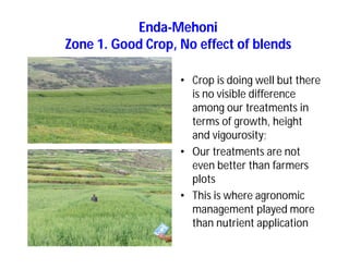 Soil fertility management in ethiopia :Decision Support Tools for Soil Fertility Management in Ethiopian Highlands: Dr Tilahun Amede