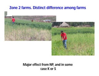 Soil fertility management in ethiopia :Decision Support Tools for Soil Fertility Management in Ethiopian Highlands: Dr Tilahun Amede