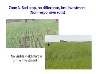 Soil fertility management in ethiopia :Decision Support Tools for Soil Fertility Management in Ethiopian Highlands: Dr Tilahun Amede