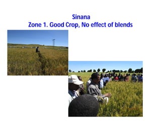 Soil fertility management in ethiopia :Decision Support Tools for Soil Fertility Management in Ethiopian Highlands: Dr Tilahun Amede