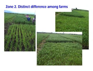 Soil fertility management in ethiopia :Decision Support Tools for Soil Fertility Management in Ethiopian Highlands: Dr Tilahun Amede