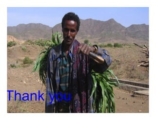 Soil fertility management in ethiopia :Decision Support Tools for Soil Fertility Management in Ethiopian Highlands: Dr Tilahun Amede