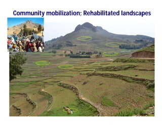 Soil fertility management in ethiopia :Decision Support Tools for Soil Fertility Management in Ethiopian Highlands: Dr Tilahun Amede