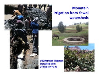 Soil fertility management in ethiopia :Decision Support Tools for Soil Fertility Management in Ethiopian Highlands: Dr Tilahun Amede