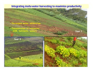Soil fertility management in ethiopia :Decision Support Tools for Soil Fertility Management in Ethiopian Highlands: Dr Tilahun Amede