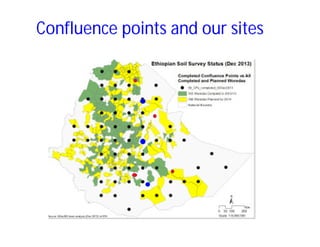 Soil fertility management in ethiopia :Decision Support Tools for Soil Fertility Management in Ethiopian Highlands: Dr Tilahun Amede