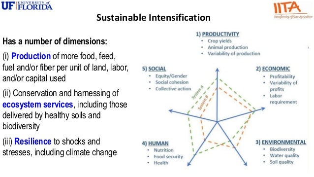 Soil Fertility Management In Sub Saharan Africa Patrick -