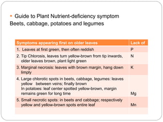 Marginal Necrosis Soil fertility management liminmg | PPT