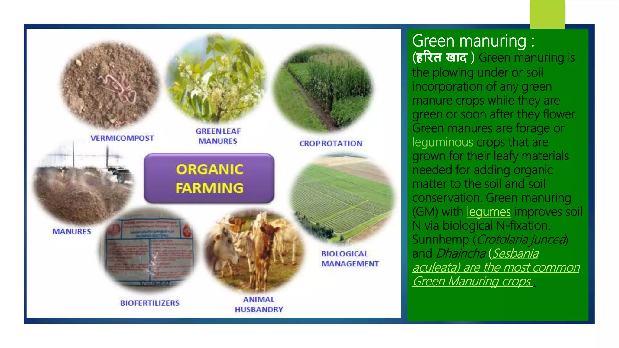 World History Encyclopedia visual data 6