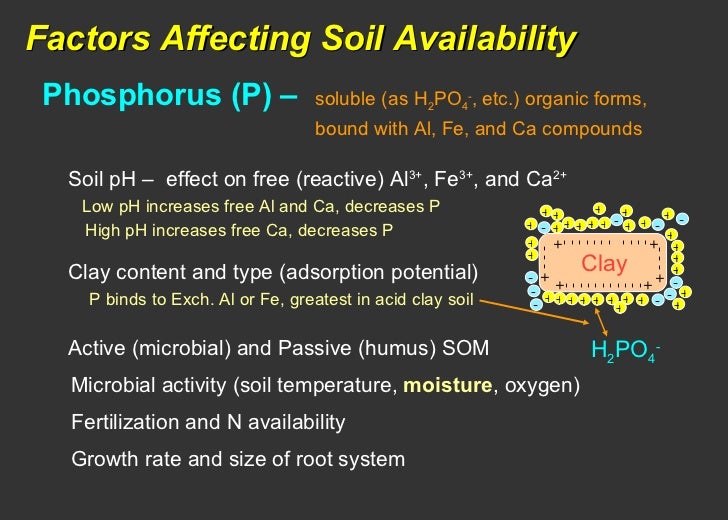 Soil fertility testing