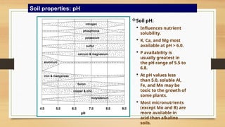 Soil Fertlility and why it matters .pptx