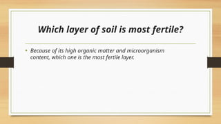 Soil Fertlility and why it matters .pptx