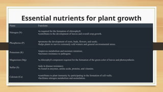 Soil Fertlility and why it matters .pptx