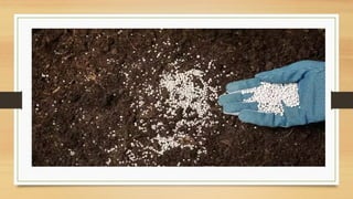 Soil Fertlility and why it matters .pptx