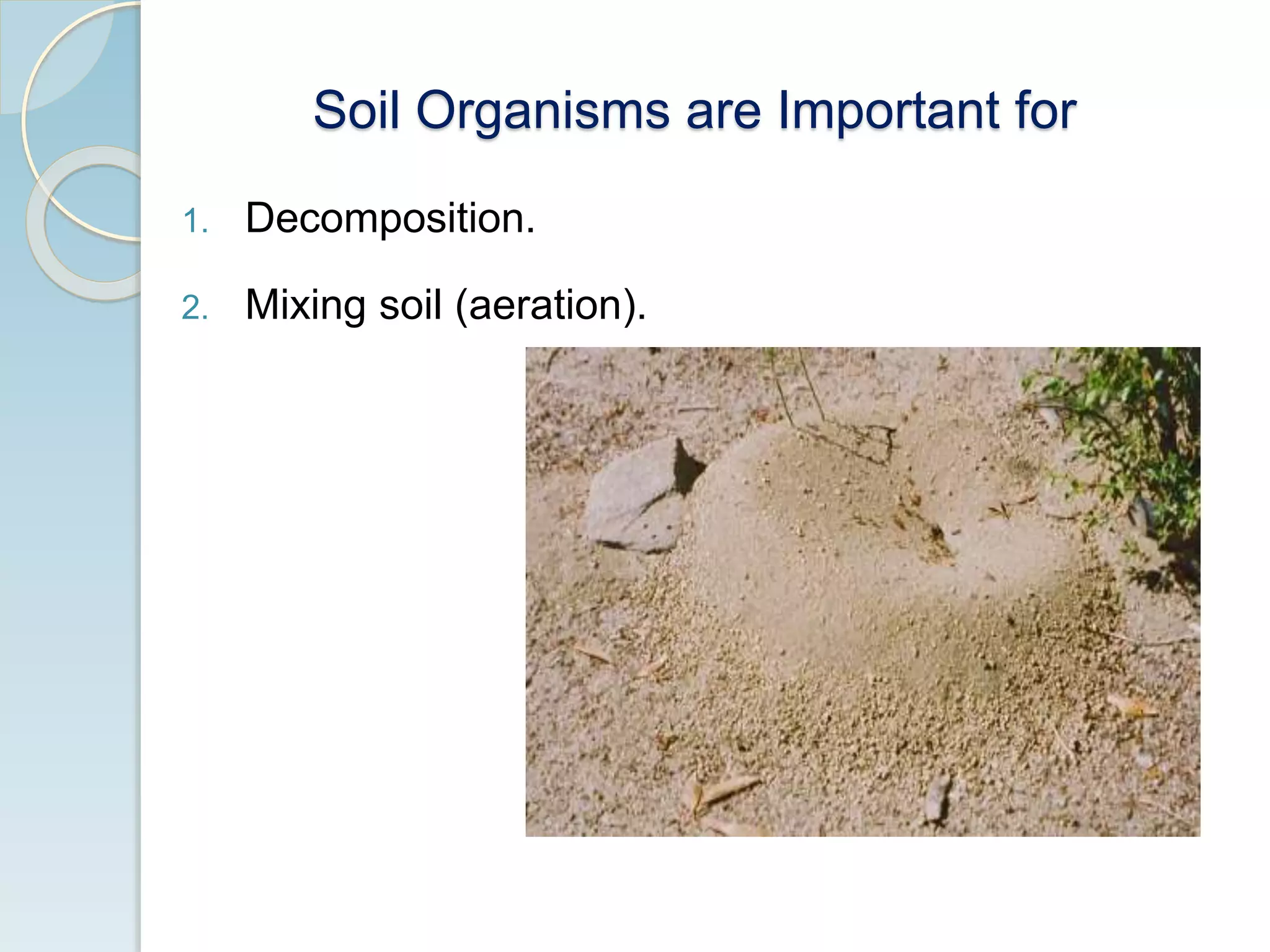 Soil Organisms are Important for
1. Decomposition.
2. Mixing soil (aeration).
 