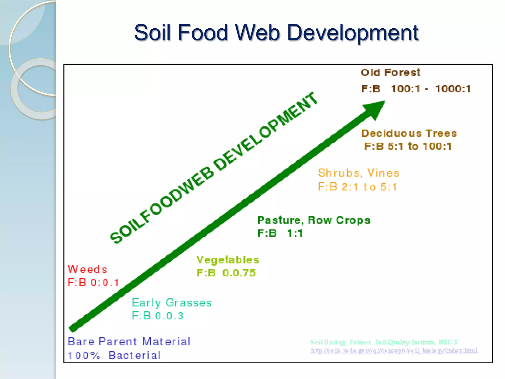 Soil Food Web Development
 