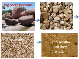Soil for 3rd or 4th graders. (Teach) | PPTX