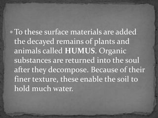  To these surface materials are added
the decayed remains of plants and
animals called HUMUS. Organic
substances are returned into the soul
after they decompose. Because of their
finer texture, these enable the soil to
hold much water.
 