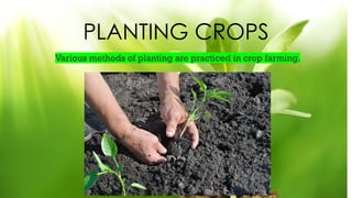 Fundamental of Agricultural Science 