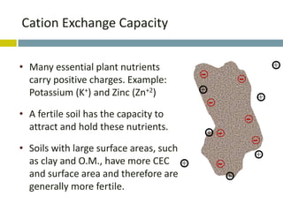 Soil fundamentals DEPARTMENT Sep 2014.pptx.pdf