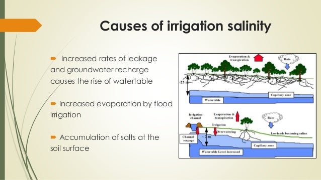 Soil geology