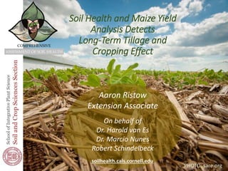 Soil Health and Maize Yield
Analysis Detects
Long-Term Tillage and
Cropping Effect
Aaron Ristow
Extension Associate
On behalf of
Dr. Harold van Es
Dr. Marcio Nunes
Robert Schindelbeck
soilhealth.cals.cornell.edu
COMPREHENSIVE
ASSESSMENT OF SOIL HEALTH
PHOTO: sare.org
 