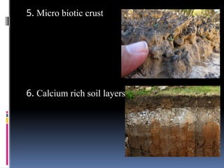 Soil health and Soil quality.pptx agriculture | PPTX