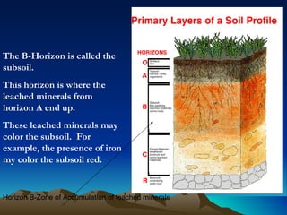 The B-Horizon is called the
subsoil.
This horizon is where the
leached minerals from
horizon A end up.
These leached minerals may
color the subsoil. For
example, the presence of iron
my color the subsoil red.


Horizon B-Zone of Accumulation of leached minerals
 