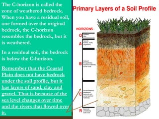 The C-horizon is called the
zone of weathered bedrock.
When you have a residual soil,
one formed over the original
bedrock, the C-horizon
resembles the bedrock, but it
is weathered.
In a residual soil, the bedrock
is below the C-horizon.
Remember that the Coastal
Plain does not have bedrock
under the soil profile, but it
has layers of sand, clay and
gravel. That is because of the
sea level changes over time
and the rivers that flowed over
it.
 
