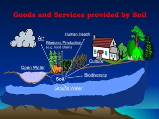 Goods and Services provided by Soil

                            Human Health
         Air
               Biomass Production
               (e.g. food chain)



                                       Culture
  Open Water
                                     Biodiversity
                     Soil

                    Ground Water
 