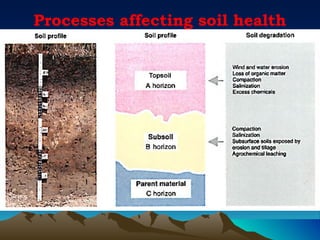 Processes affecting soil health
 