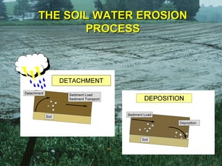 THE SOIL WATER EROSION
       PROCESS
 
