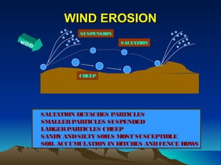 WIND EROSION
                     SUSPENSION
W IN                              SALTATION
       D




                     CREEP




           SALTATION DETACHES PARTICLES
           SMALLER PARTICLES SUSPENDED
           LARGER PARTICLES CREEP
           SANDY AND SILTY SOILS MOST SUSCEPTIBLE
           SOIL ACCUMULATION IN DITCHES AND FENCE ROWS
 