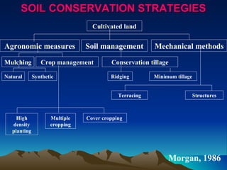 SOIL CONSERVATION STRATEGIES
                                  Cultivated land


Agronomic measures              Soil management         Mechanical methods

Mulching         Crop management         Conservation tillage

Natural       Synthetic                  Ridging        Minimum tillage


                                            Terracing                     Structures



     High            Multiple   Cover cropping
   density           cropping
   planting




                                                             Morgan, 1986
 