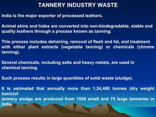 TANNERY INDUSTRY WASTE
India is the major exporter of processed leathers.

Animal skins and hides are converted into non-biodegradable, stable and
quality leathers through a process known as tanning.

This process includes dehairing, removal of flesh and fat, and treatment
with either plant extracts (vegetable tanning) or chemicals (chrome
tanning).

Several chemicals, including salts and heavy metals, are used in
chemical tanning.

Such process results in large quantities of solid waste (sludge).

It is estimated that annually more than 1,24,400 tonnes (dry weight
basis)of
tannery sludge are produced from 1008 small and 75 large tanneries in
India.
 