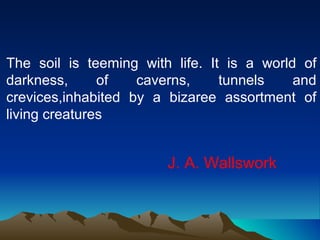 The soil is teeming with life. It is a world of
darkness,      of   caverns,     tunnels    and
crevices,inhabited by a bizaree assortment of
living creatures


                        J. A. Wallswork
 
