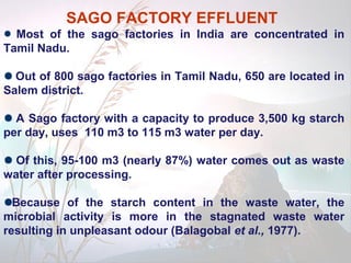 SAGO FACTORY EFFLUENT
  Most of the sago factories in India are concentrated in
Tamil Nadu.

  Out of 800 sago factories in Tamil Nadu, 650 are located in
Salem district.

  A Sago factory with a capacity to produce 3,500 kg starch
per day, uses 110 m3 to 115 m3 water per day.

  Of this, 95-100 m3 (nearly 87%) water comes out as waste
water after processing.

  Because of the starch content in the waste water, the
microbial activity is more in the stagnated waste water
resulting in unpleasant odour (Balagobal et al., 1977).
 