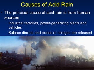 Causes of Acid Rain
• The principal cause of acid rain is from human
  sources
  – Industrial factories, power-generating plants and
    vehicles
  – Sulphur dioxide and oxides of nitrogen are released
    during the fuel burning process (i.e. combustion)




                    MSN Encarta
 