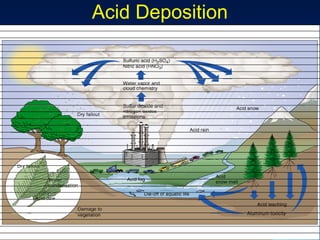 Acid Deposition




                  05/15/10
 