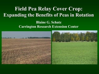 Soil Health – Cover Crops – Relay Cropping | PPTX